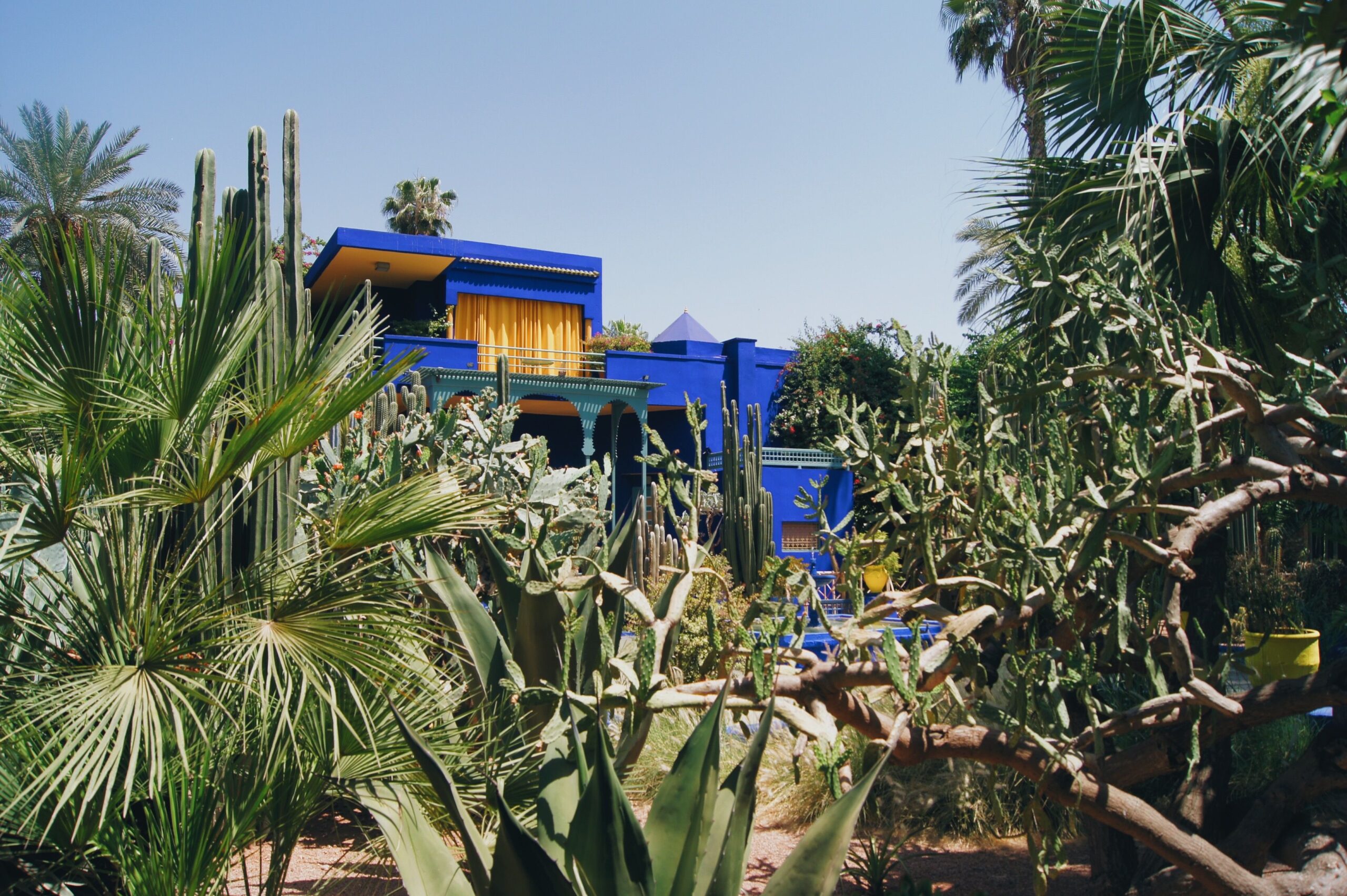 Vibrant Majorelle Blue house surrounded by lush exotic plants and cacti under a clear sky.